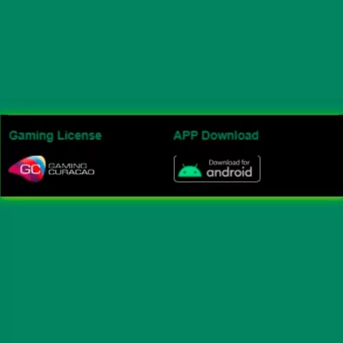 Step 4 visit the Baji App download page on Android